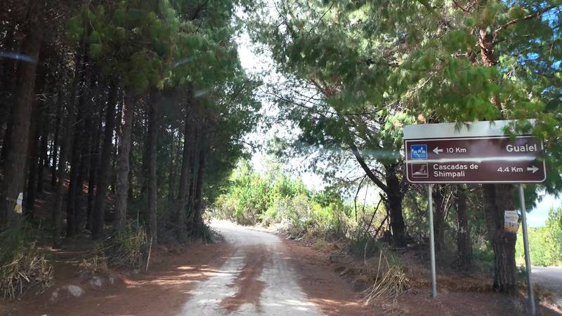 Brown road sign reading Gualel 10 Km beside a dirt road through pine forest