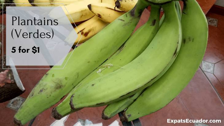 Plantains (Verdes) Bolon Cuenca