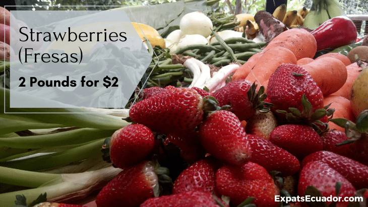 Strawberries (Fresas) 10 de Augosto