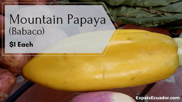 Mountain Papaya (Babaco)