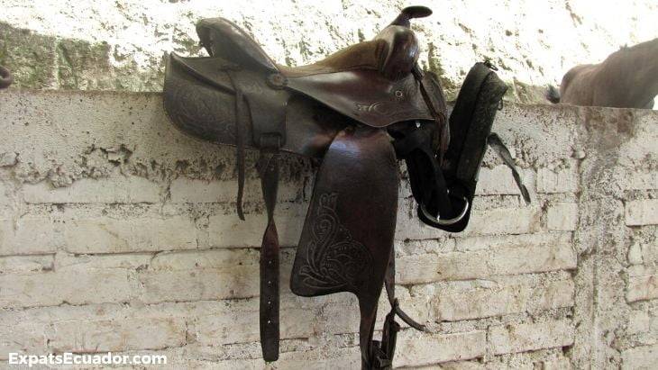 Cuenca Horse Riding Safety