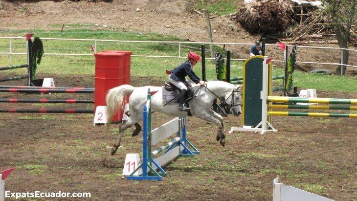 Cuenca Horse Riding Schools Jumping
