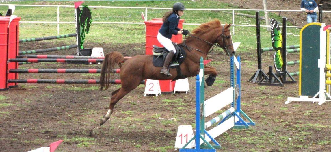 Cuenca Horse Riding Tours & Schools