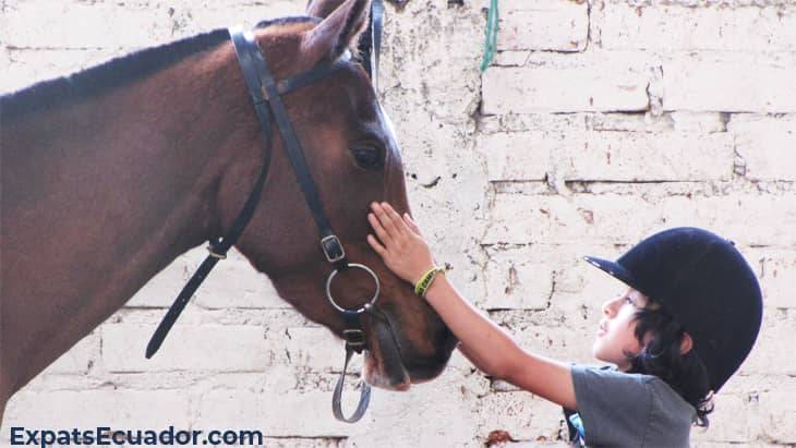 Centro Ecuestre Bellavista Horse Child