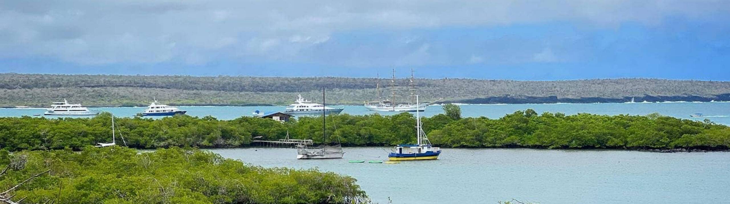 Santa Cruz Island, Galapagos: Wildlife, Conservation & Adventure