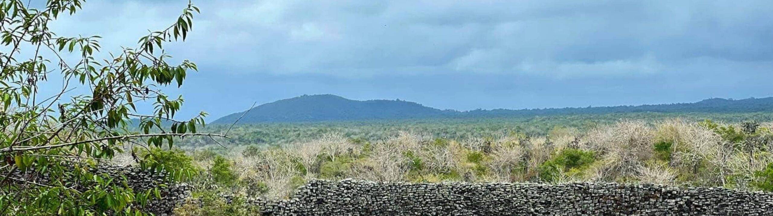 Isabela Island Galapagos: Ultimate Travel Guide