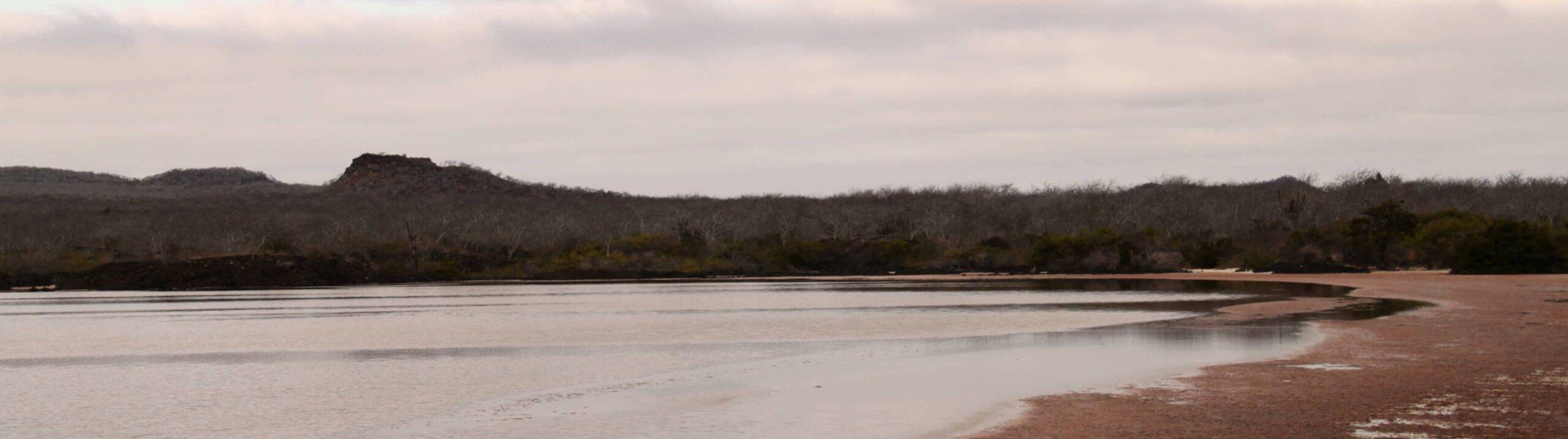 Edge of Evolution: Exploring Darwin Island’s Underwater Eden