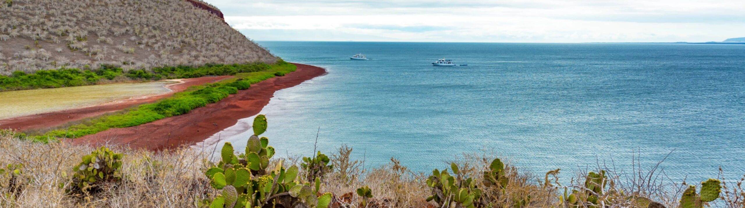 Discover the Galapagos Islands: A Complete Guide to Nature’s Living Laboratory