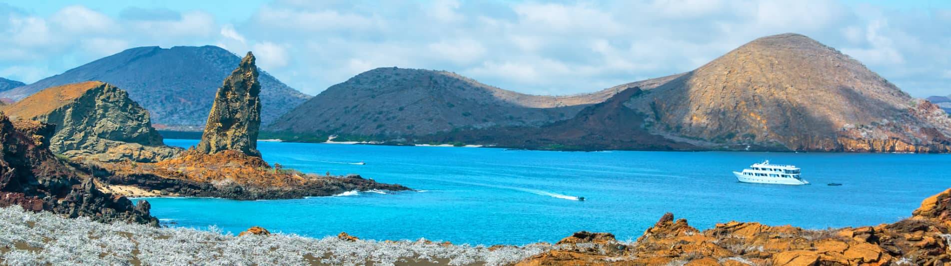 New Online Declaration of Goods Form: Key Changes for Galapagos Travelers