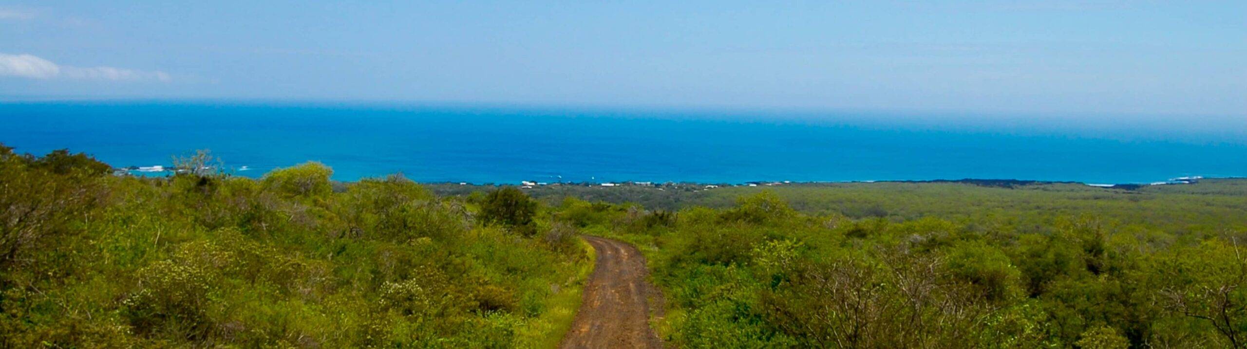 Floreana Island, Galapagos: Travel Guide (2025)