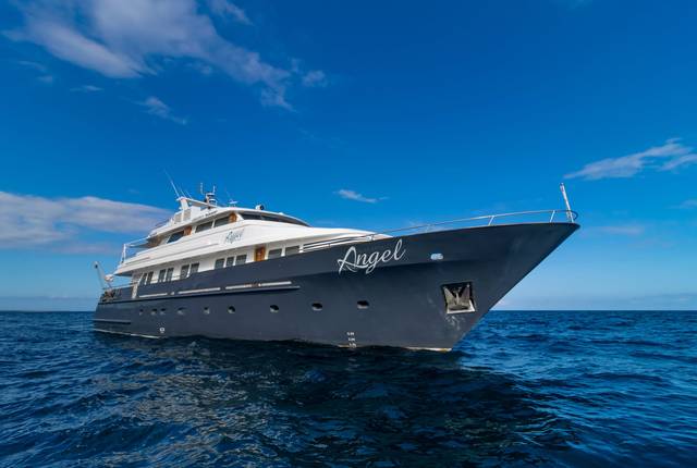 M/Y Angel