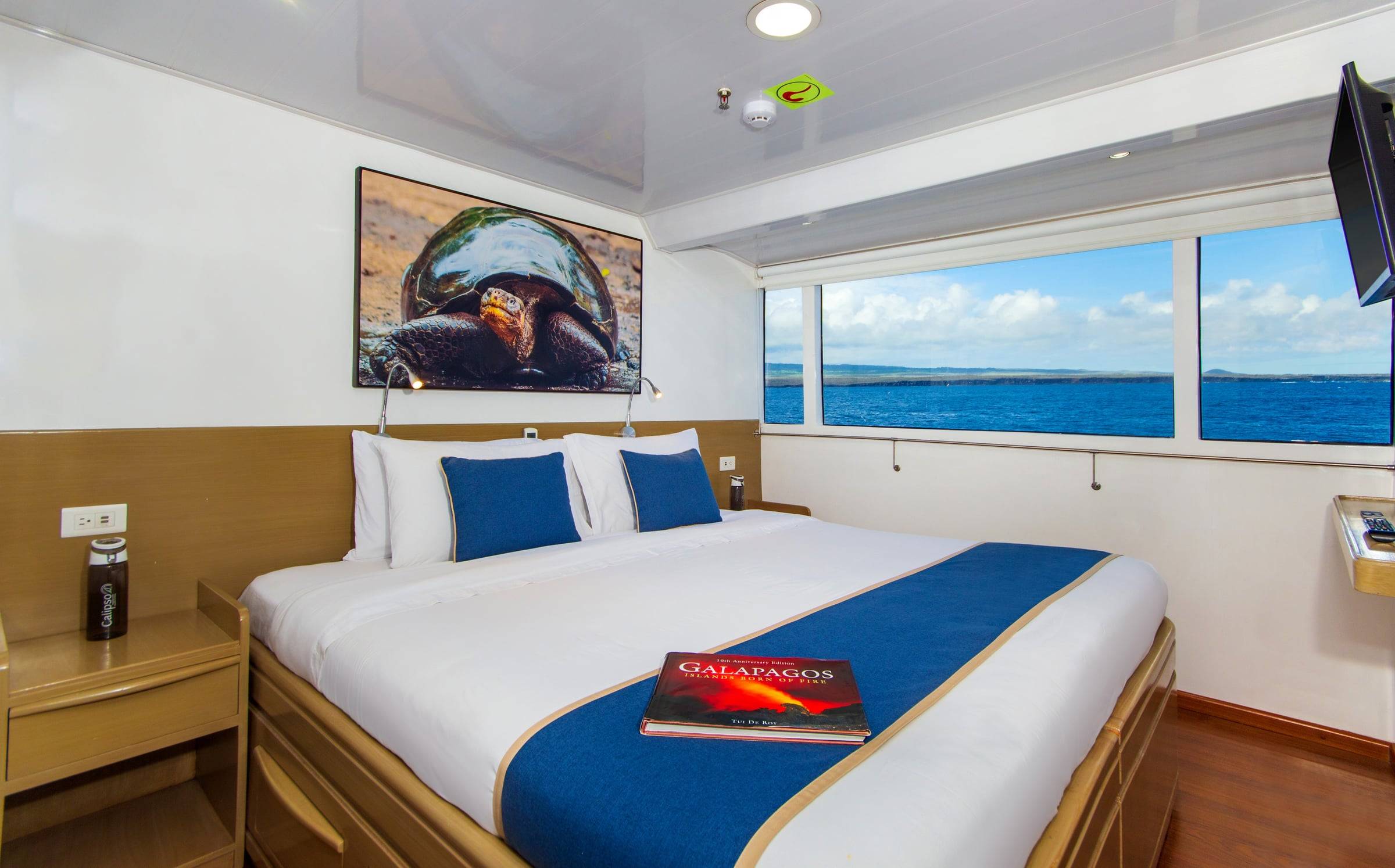 M/Y Calipso