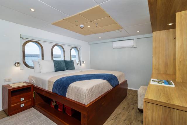Grand Daphne cabin
