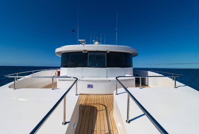 Grand Daphne