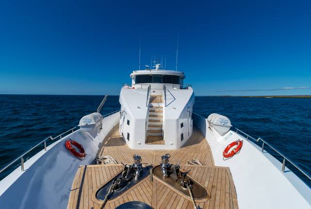 Grand Daphne
