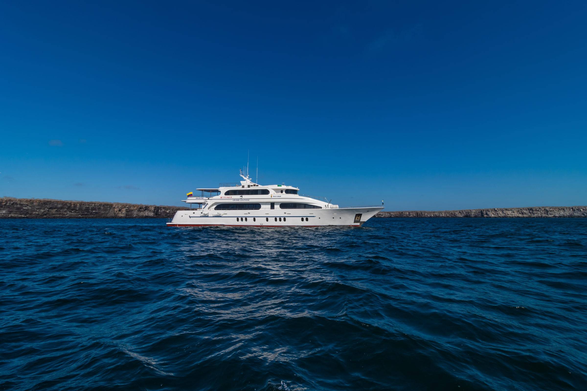 Grand Daphne