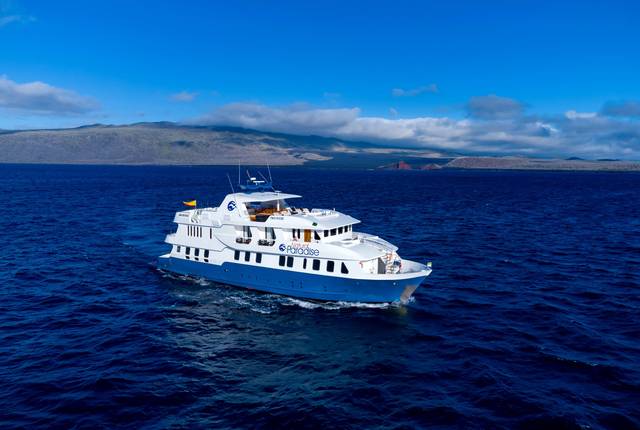 M/Y Natural Paradise