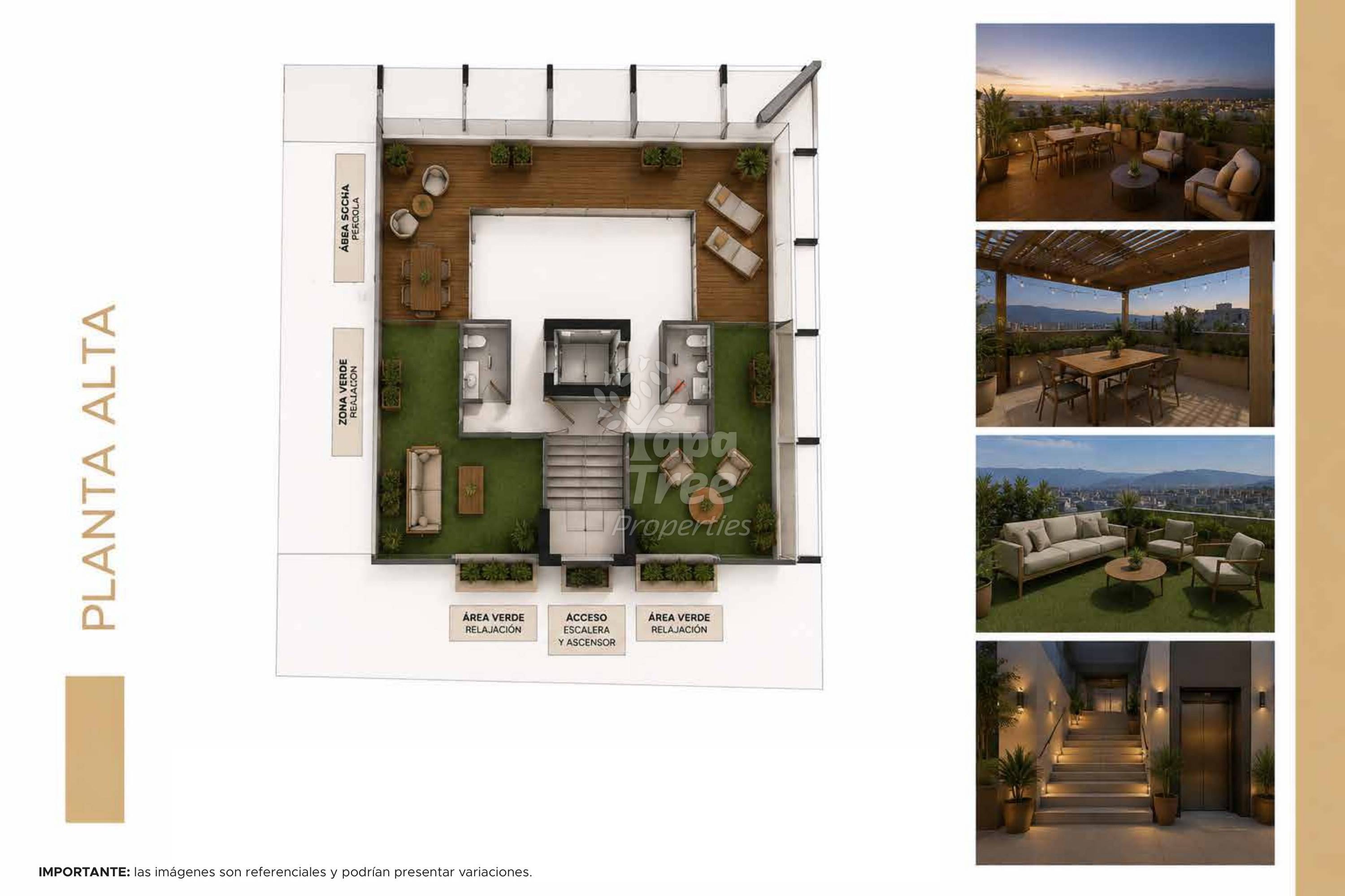 Rooftop communal terrace