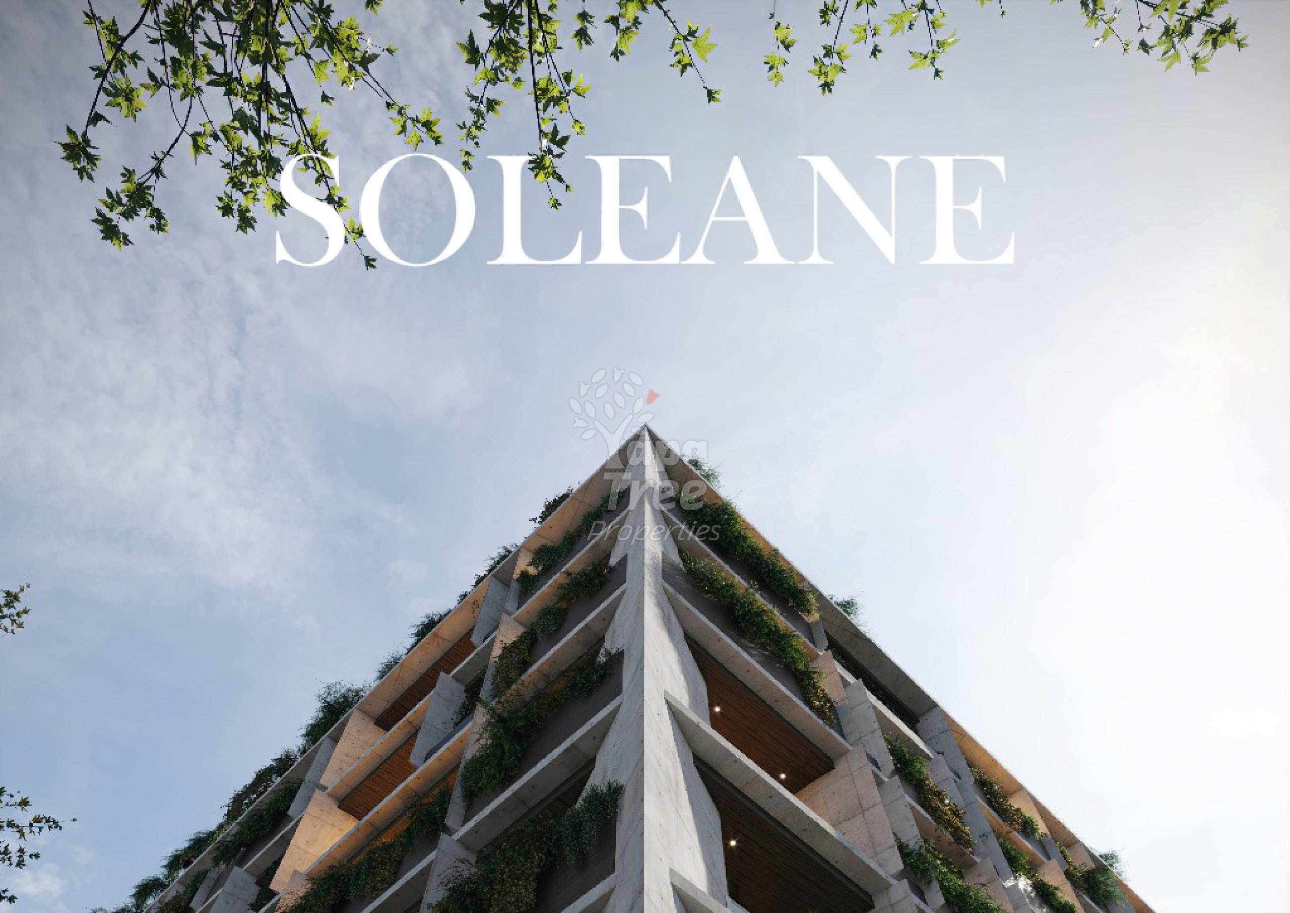 Soleane