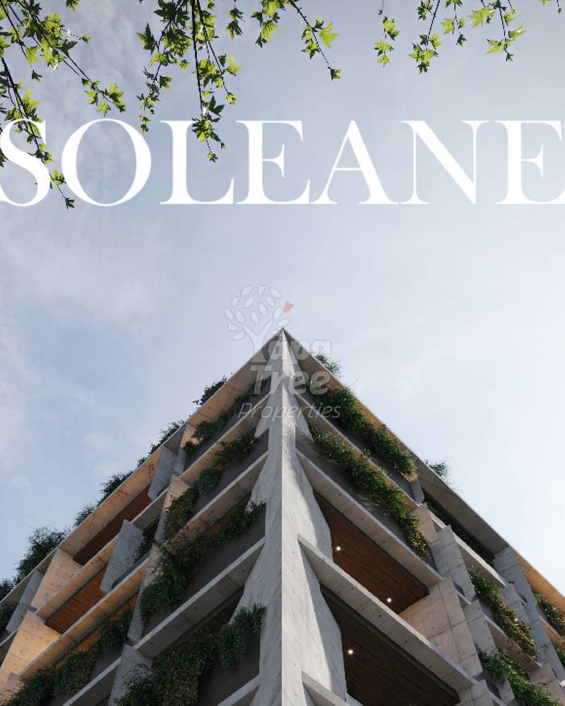 Soleane