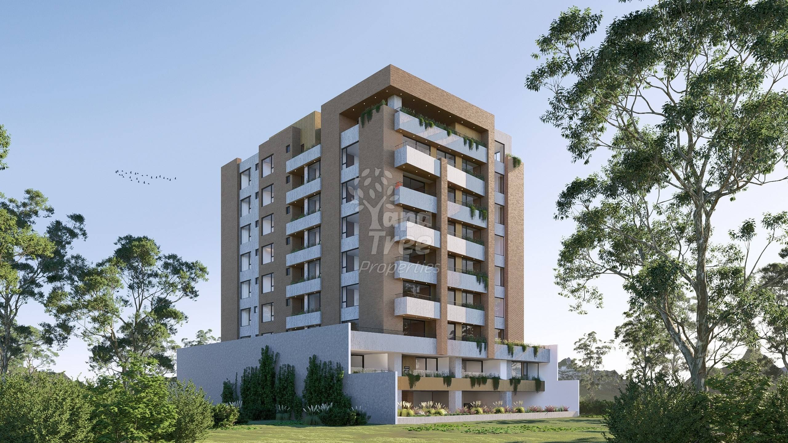 rear elevation, day