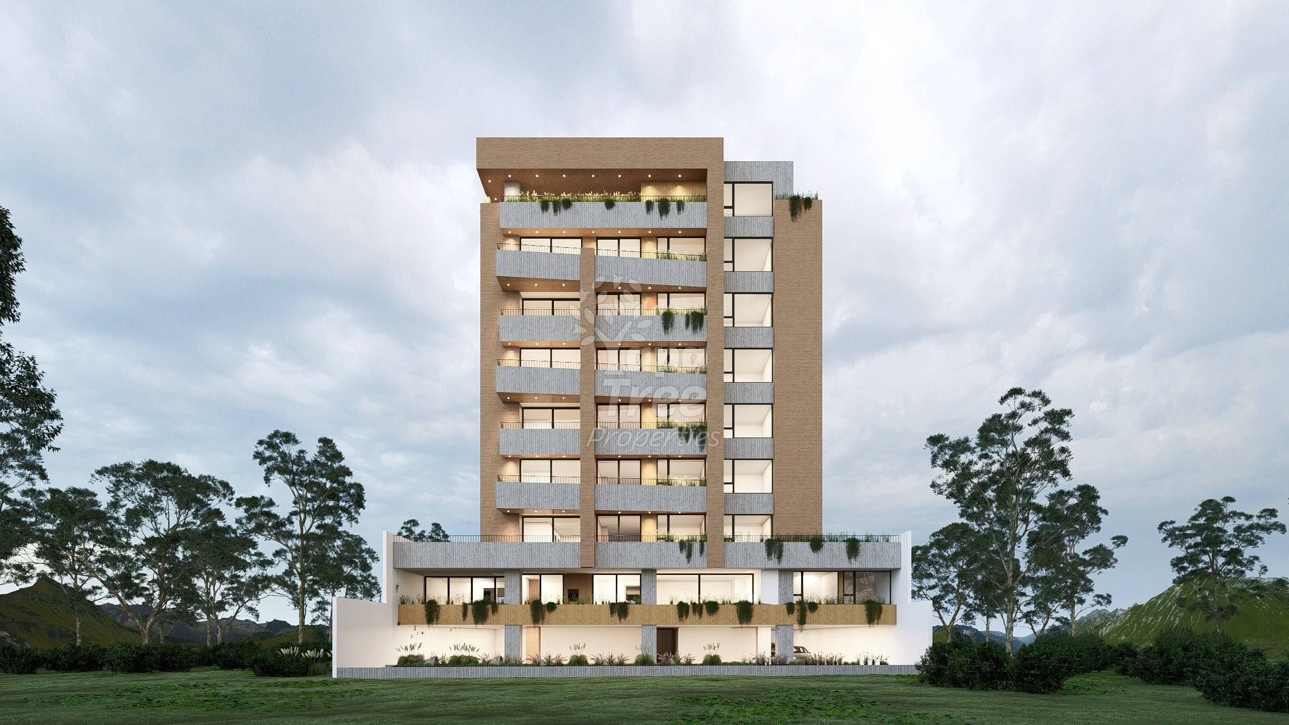 rear elevation, night