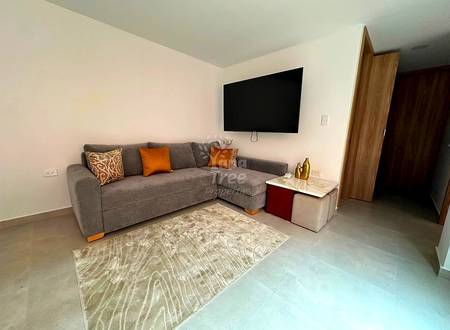 Living room with gray L-shaped sectional sofa, orange and patterned cushions, wall-mounted flat-screen TV, geometric area rug, and wooden wardrobe doors.