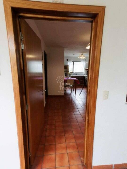 1BDR Downtown Garden View on Tomebamba #1