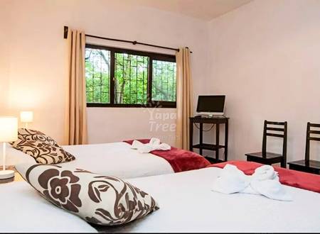 1BDR Downtown River View on Tomebamba #4
