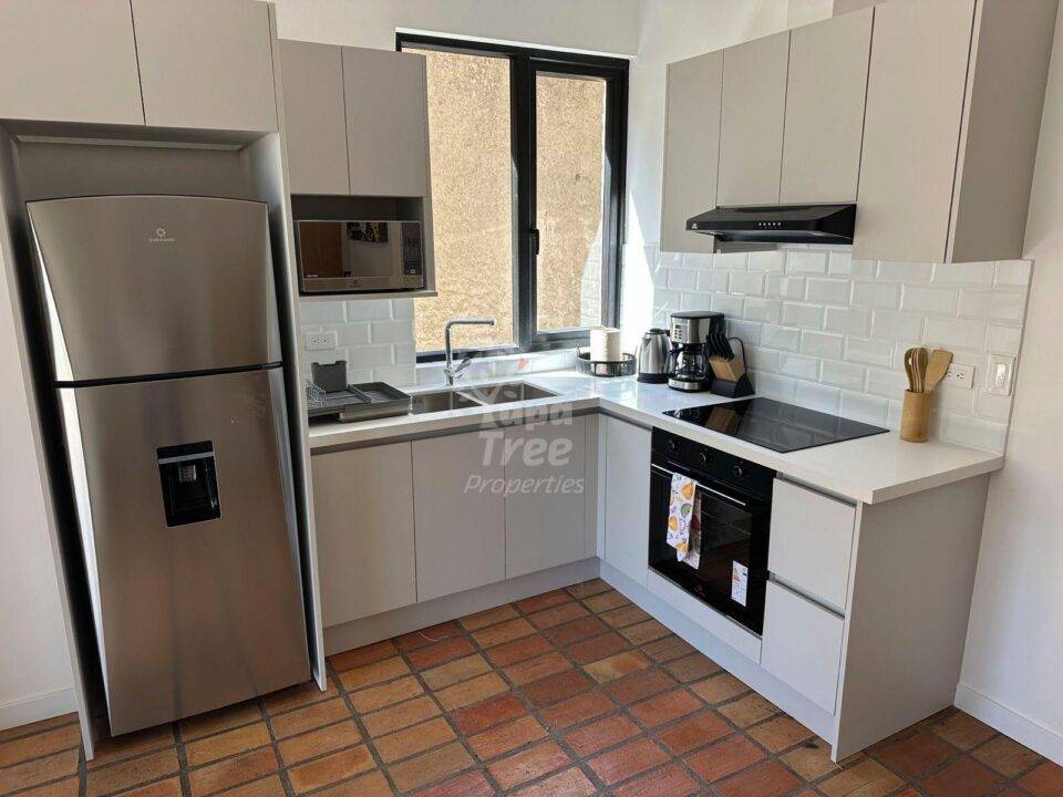 2-Bedroom Riverside Apartment with Private Terraces in El Barranco