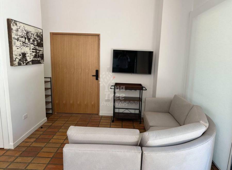 2-Bedroom Riverside Apartment with Private Terraces in El Barranco