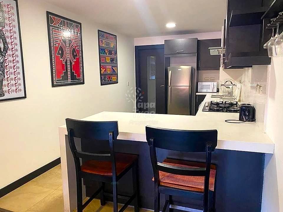 2BDRM apartment close to Parque de la Madre