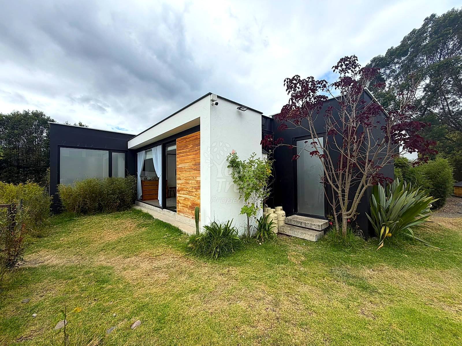 Modern single-story house with white and black exterior, brick accent wall, large windows, wooden door, surrounded by grass and landscaping plants.