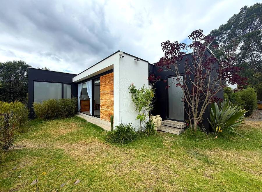 Modern single-story house with white and black exterior, brick accent wall, large windows, wooden door, surrounded by grass and landscaping plants.