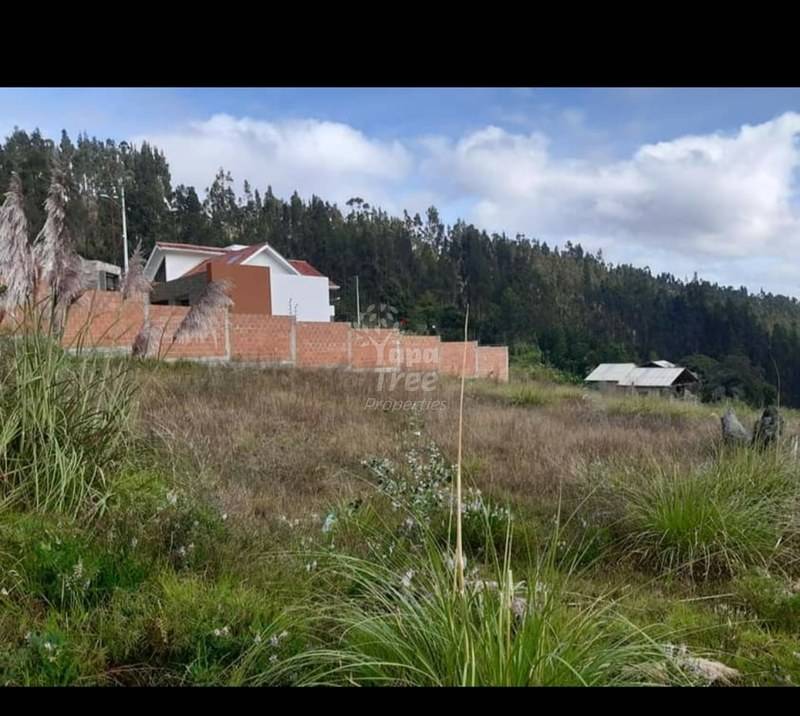 Beautiful Land For Sale In Castilla Cruz Valley With Factory Line