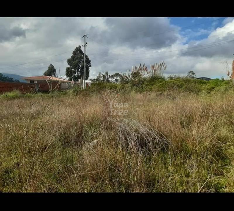 Beautiful Land For Sale In Castilla Cruz Valley With Factory Line