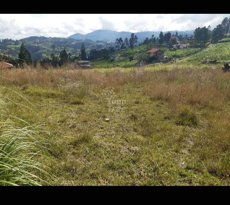 Beautiful Land For Sale In Castilla Cruz Valley With Factory Line