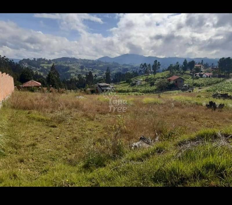 Beautiful Land For Sale In Castilla Cruz Valley With Factory Line