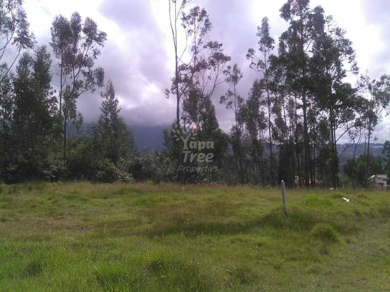 Beautiful Land For Sale In San Joaquin At Very Good Prices