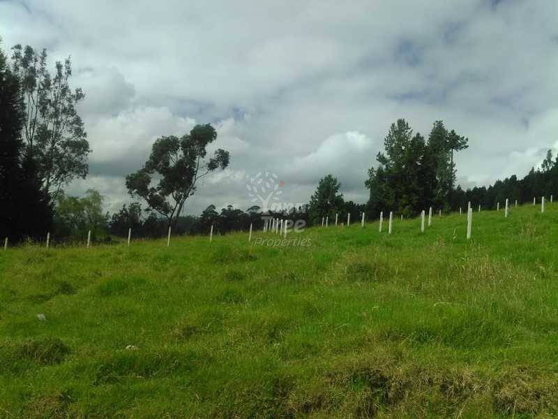 Beautiful Land For Sale In San Joaquin At Very Good Prices