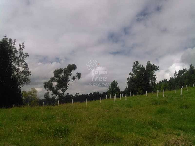 Beautiful Land For Sale In San Joaquin At Very Good Prices