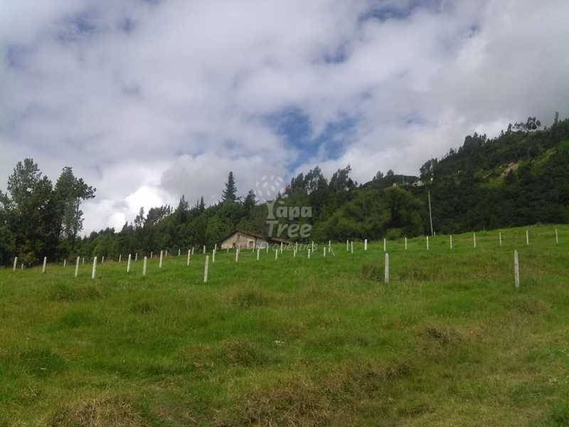 Beautiful Land For Sale In San Joaquin At Very Good Prices