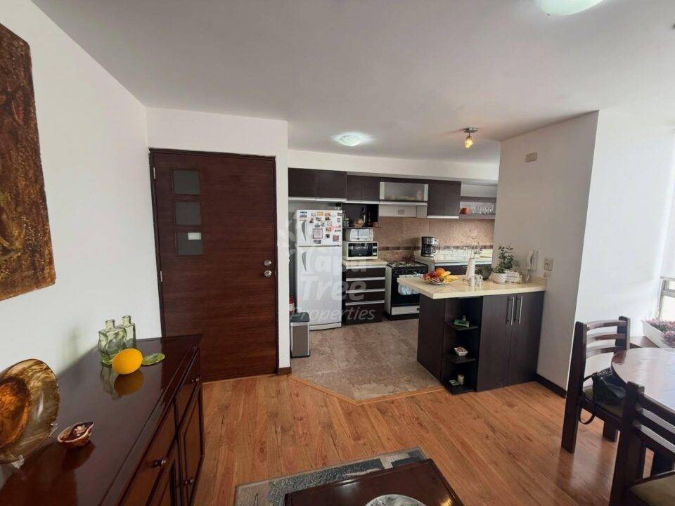 Cozy 1BDR Apartment with Parking and Generator
