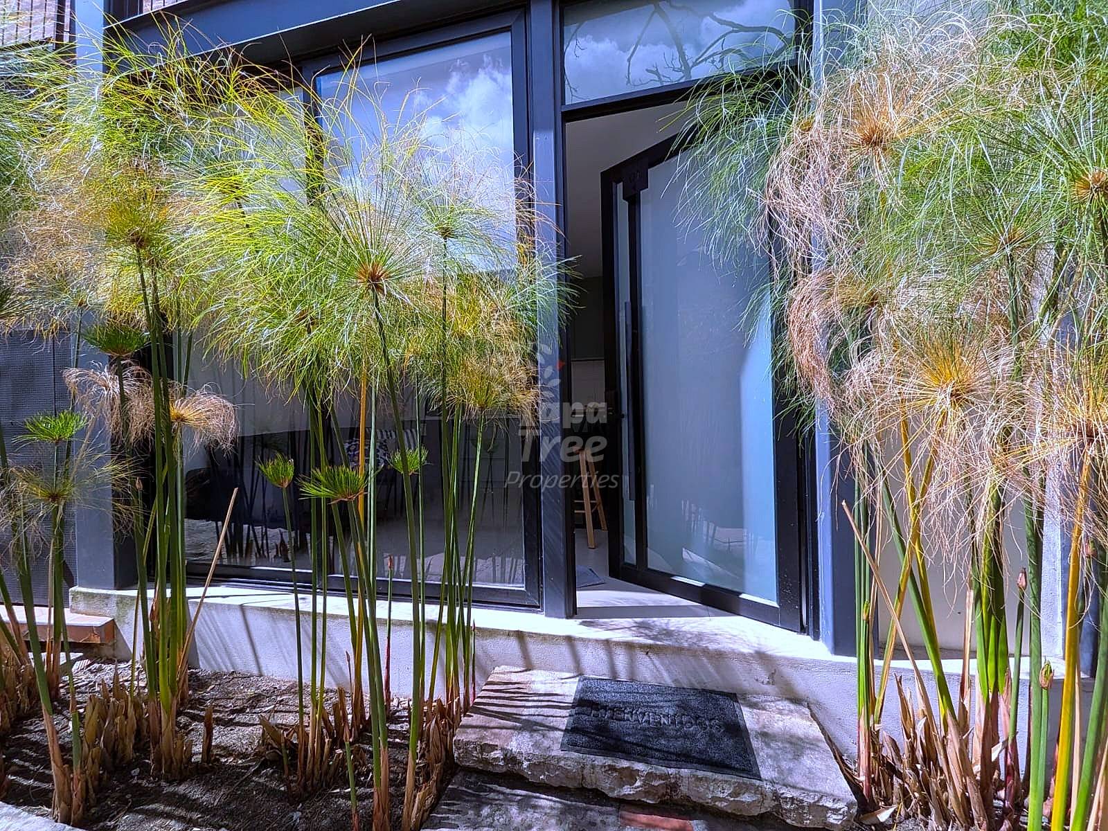 Modern sliding glass door entrance with black frame, concrete threshold, and ornamental grasses in planters on either side.