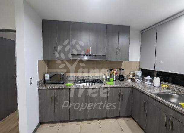 Cozy Fully Furnished 1-Bedroom Apartment with Utilities Included in Primero de Mayo