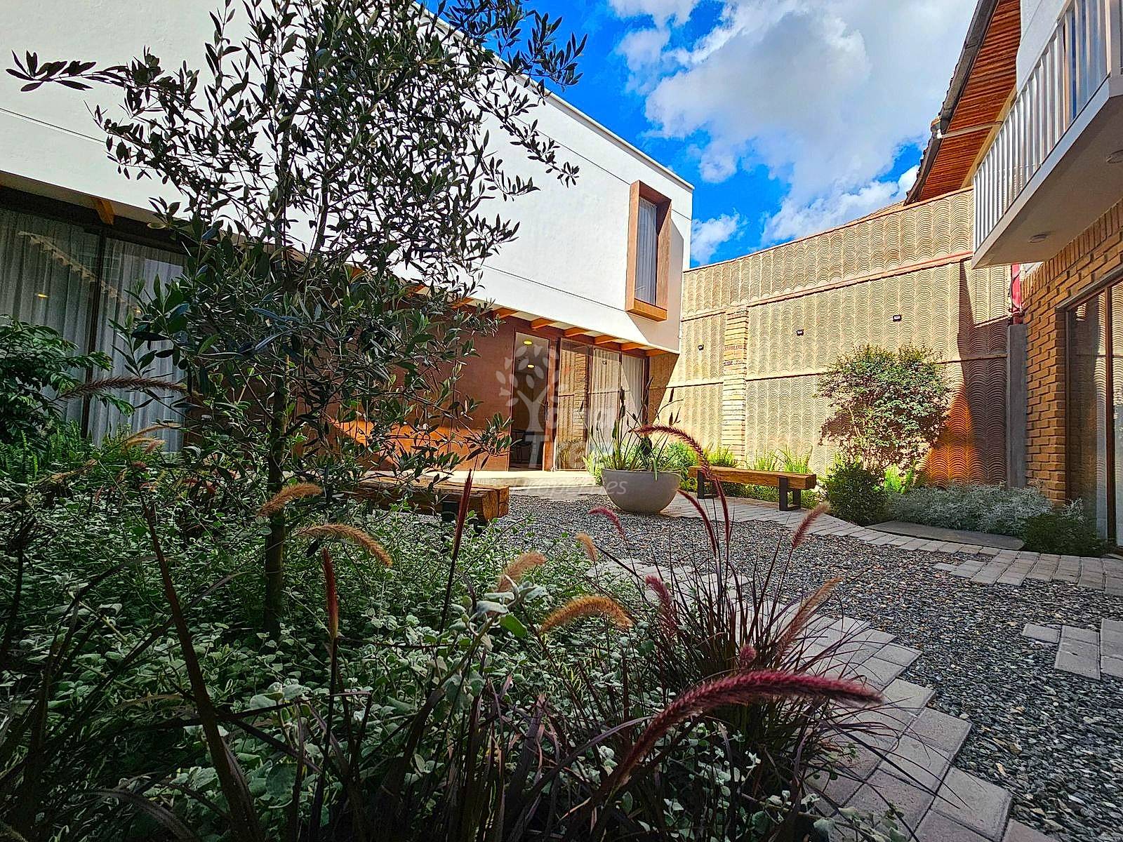 Paved courtyard with potted plants and olive tree, surrounded by brick and white residential buildings under blue sky