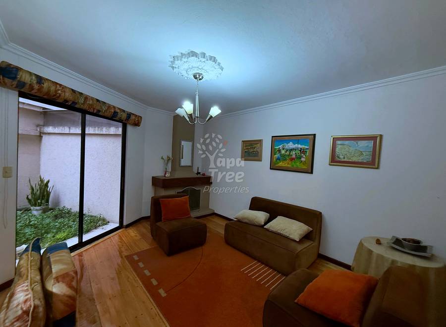 Living room with brown sofa, armchair, framed landscape paintings, chandelier, glass door opening to interior courtyard with plants.