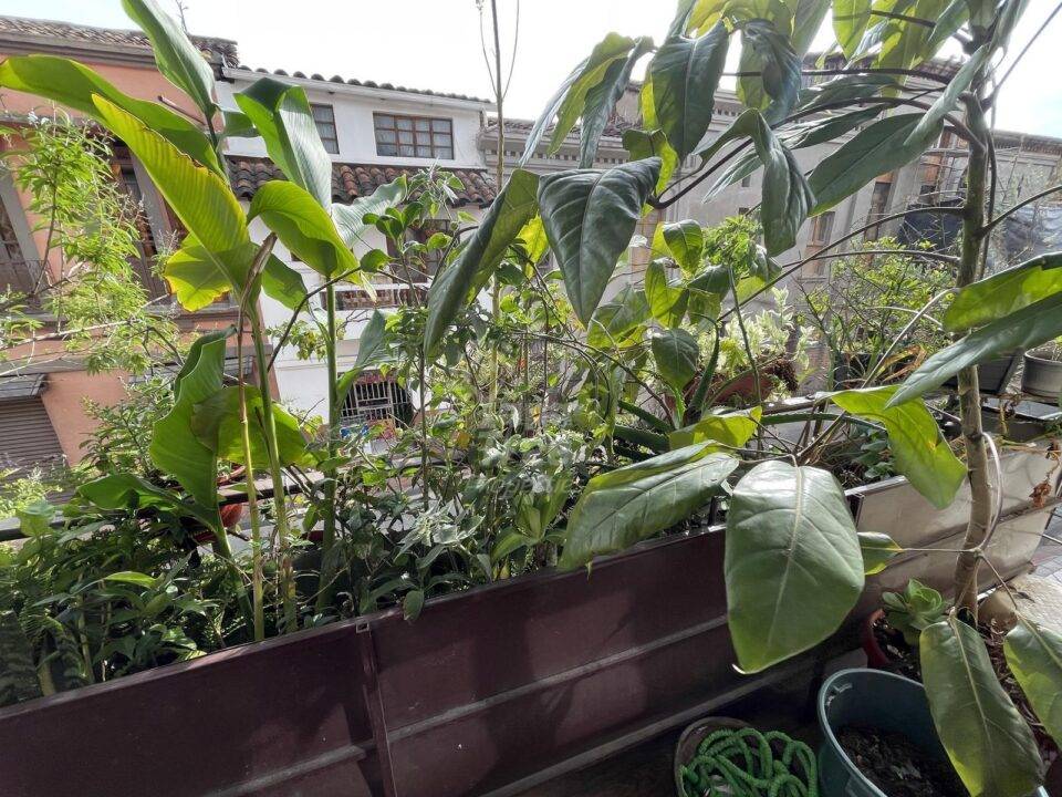 Fully Renovated 4-Bedroom House with Income-Generating Apartments and Commercial Space