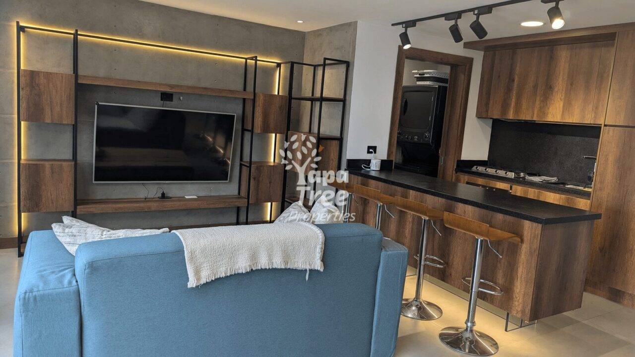 Terrace Haven Loft with large terrace in Puertas del Sol