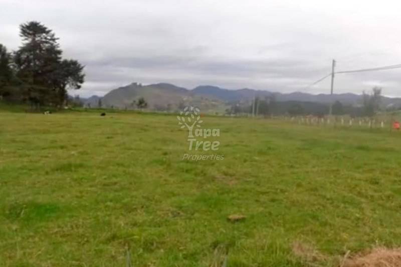 Land For Sale In Cumbe 1928 Meters